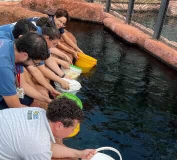 Após uma semana fechado, Bioparque reabre na terça-feira com novos moradores