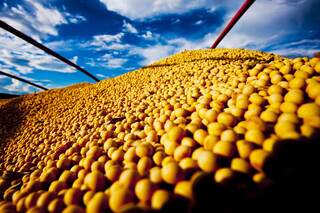 Caminhão carregado de soja; grão é o principal produto agrícola exportado pelo MS. (Foto: Arquivo/Embrapa)