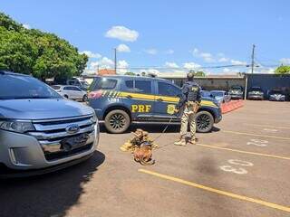 Veículo e droga apreendida com os estrangeiros (Foto: Divulgação/PRF)