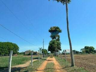 Casa construída na Chácara das Mansões, em Campo Grande (Foto: Marcos Maluf)