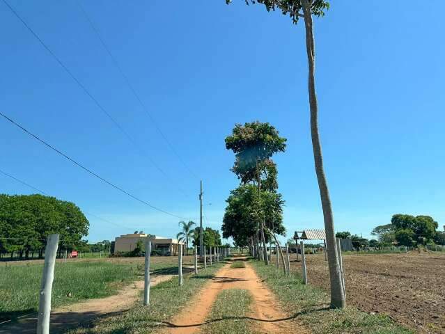 Para quem pode fugir do estresse, construtoras investem em condom&iacute;nios rurais