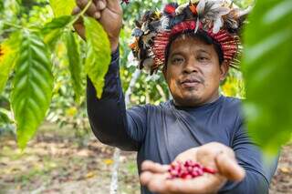 Indígena com sementes nas mãos; estados ajudaram a mapear demandas e mobilizar populações indígenas a participarem do PAA (Foto: Divulgação: Funai / MPI)