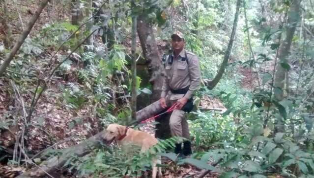 Bombeiros buscam pe&atilde;o desaparecido h&aacute; 3 dias ap&oacute;s sair para ir em cachoeira