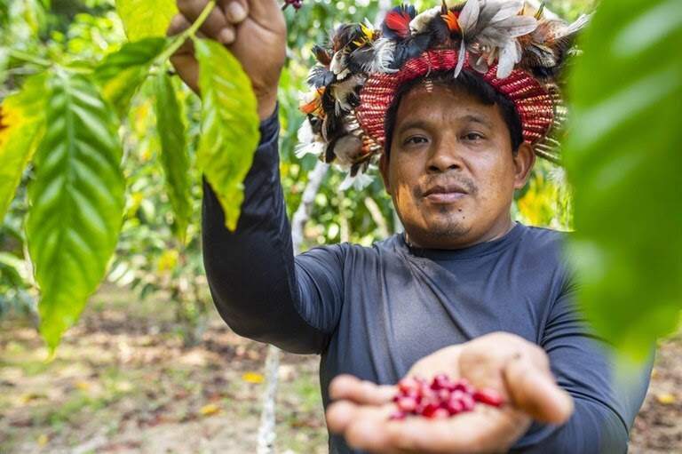 MS receberá R$ 700 mil para programa de compra de alimentos para indígenas
