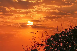 Sol entre nuvens no céu. (Foto: Arquivo/Campo Grande News)