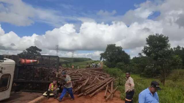 Toras de eucalipto s&atilde;o removidas e tr&acirc;nsito &eacute; liberado na BR-262