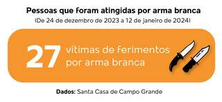 Arte detalhando nesses 20 dias quantos atendimentos foram feitos (Arte: Lennon Almeida) 