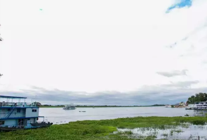 Com pouca chuva, Pantanal deve ter cheias abaixo do esperado em 2024