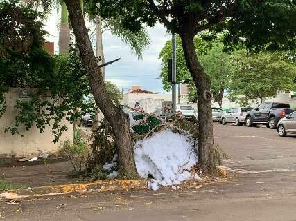 Na calada da noite, esquina fica lotada de enchimento de almofada e madeira