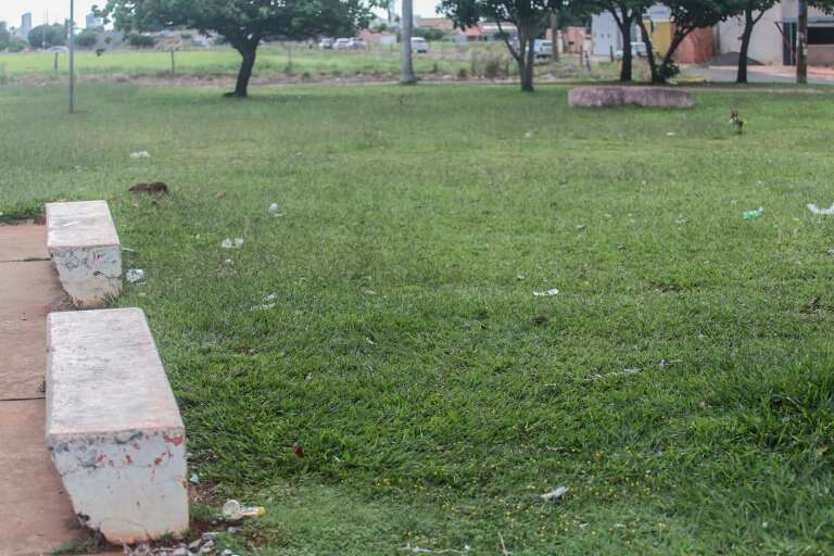 Lixo espalhado em área verde da praça (Foto: Marcos Maluf)