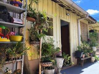 Plantas cuidadas pela moradora ficam na lateral da casa. (Foto: Jéssica Fernandes)