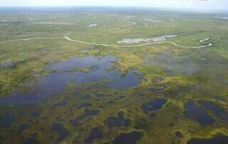 Imagem aérea da maior planície alagável do mundo, com o braço do Rio Paraguai (Foto: Foto: Leomar Rosa)