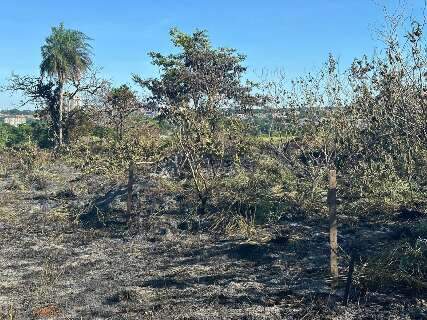 Fogo em vegetação no Chácara Cachoeira não é algo comum, diz moradores