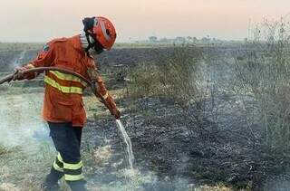 Brigadista combatendo incêndio na região pantaneira de MS, em 2023 (Foto: Arquivo/Governo de MS)
