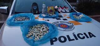 Drogas que foram apreendidas na ação (Crédito: Divulgação/ Polícia Rodoviária de SP)