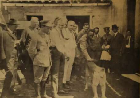 H&aacute; um s&eacute;culo, not&iacute;cia era Cal&oacute;geras na Capital e on&ccedil;a domesticada