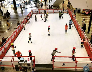 Pista de patinação não possui data definida para ser inaugurada. (Foto: Divulgação)