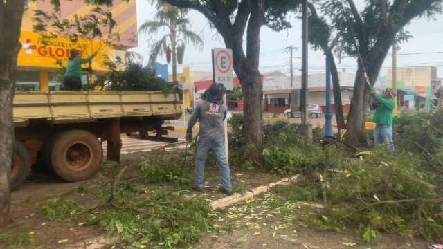 Semana inicia com limpeza ap&oacute;s chuva destelhar casas e derrubar &aacute;rvores