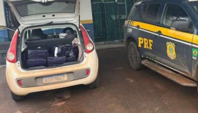 Casal &eacute; preso com 363 kg de maconha no porta-malas de carro