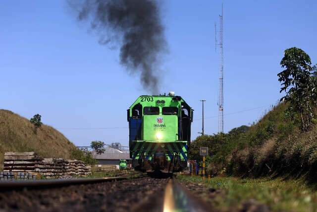 Para estudos de terra ind&iacute;gena em MS, leil&atilde;o da Nova Ferroeste ficar&aacute; para 2025