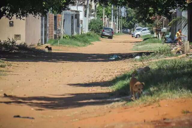 Suspeita de raiva &eacute; descartada, mas pitbull que atacou idoso foi eutanasiado