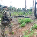 Traficantes destroem reserva ambiental para cultivar maconha na fronteira