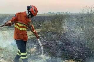 Brigadista combatendo incêndio na região pantaneira em 2023 (Foto: Arquivo/Governo de MS)
