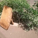 Caminhão quebra tampa e tubulação fica aberta em meio a rua no Tiradentes