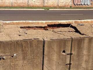 Parte do concreto do Córrego Segredo, na Avenida Ernesto Geisel, que está sendo corroída (Foto: Idaicy Solano)