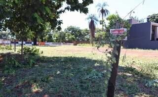 Terreno localizado do outro lado da esquina entre as ruas Lise Rose e Quinse de Dezembro era o único do quadrilátero que estava limpo  (Foto: Osmar Daniel Veiga)