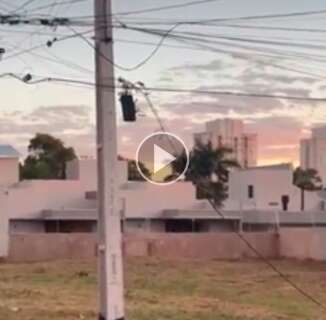 Fia&ccedil;&atilde;o solta incomoda vizinhos e impede passagem de carros no Jardim Auxiliadora