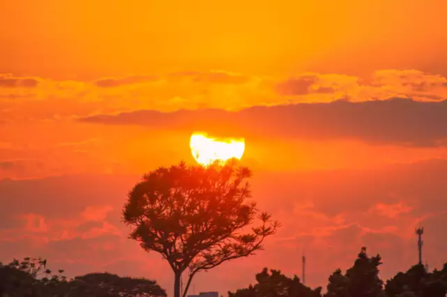 El Ni&ntilde;o fez MS viver extremos, com varia&ccedil;&atilde;o de 1&ordm;C a 44&ordm;C 