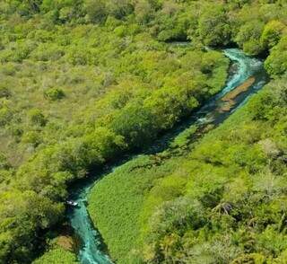 Imagem aérea capturada pela Polícia Militar Ambiental, na bacia do Rio Formoso, para identificar causas do turvamento (Foto: Divulgação/PMA)