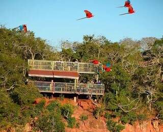 Buraco das Araras, ponto turístico de Jardim, opção de passeio em dias quentes (Foto: Divulgação)