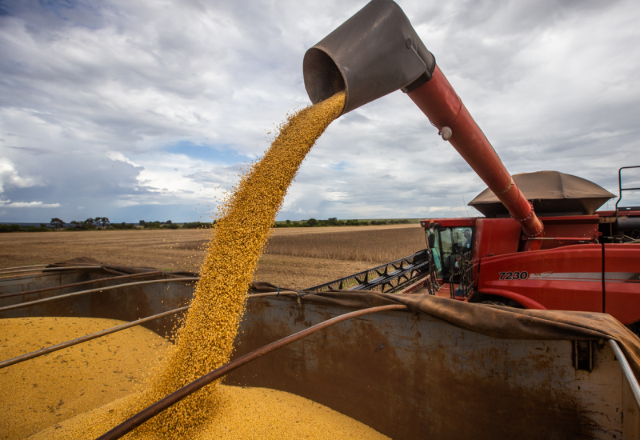 Colheita da soja em MS avança com bom tempo e chega a 213 mil hectares