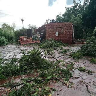Casa destelhada ficou cercada com árvores e galhos que caíram durante o temporal (Foto: Direto das Ruas)