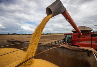 Plataforma de colheitadeira descarrega carga de soja em caminhão. (Foto: Divulgação/Aprosoja-MS)