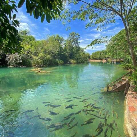 Bonito ganha projeto que vai mapear riscos ambientais para preservar Rio Formoso