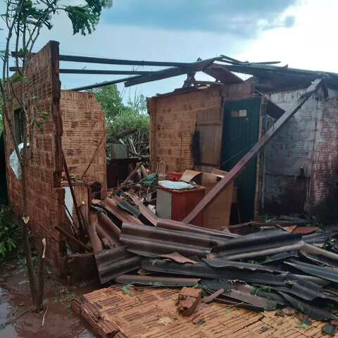 Temporal destr&oacute;i casas e derruba &aacute;rvores no distrito de Quebra Coco