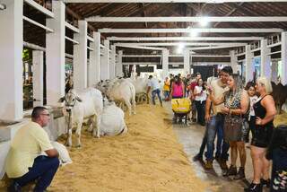 Pública visita pavilhão de gado nelore na Expogrande 2023; feira atraiu 102 mil visitantes no ano passado. (Foto: Divulgação)
