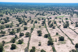 Imagem aérea de área desmatada no Pantanal para fazer pasto (Foto: SOS Pantanal)