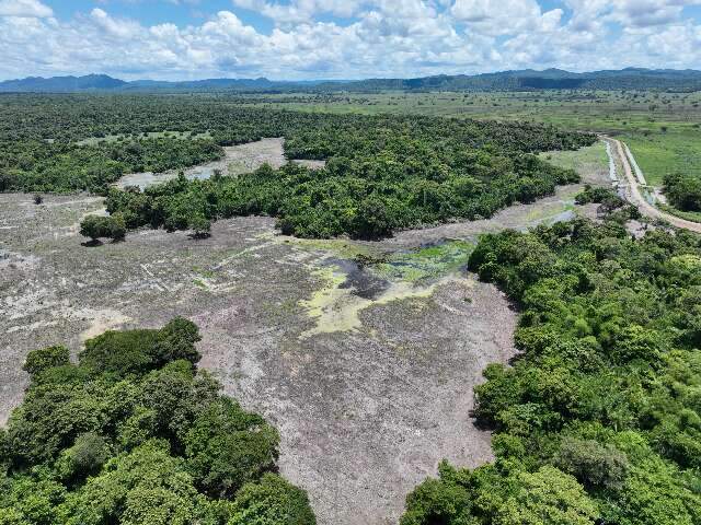 Produtor acusado de desmatar Pantanal diz que tem todas as licen&ccedil;as autorizadas