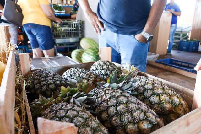 Calor e pouca chuva fazem pre&ccedil;o de frutas como abacaxi quase dobrar