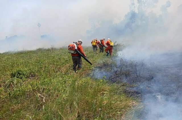 Para leitores, Pantanal est&aacute; queimando por falta de fiscaliza&ccedil;&atilde;o