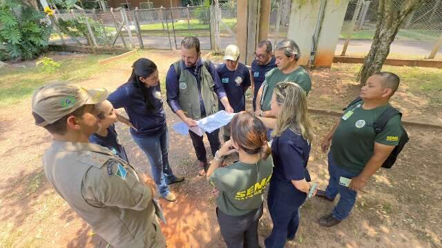 Mato Grosso do Sul e MT preparam a&ccedil;&otilde;es integradas para prote&ccedil;&atilde;o do Pantanal