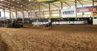 Bezerro sendo laçado em pista no Parque do Peão em Campo Grande (Foto: Bureau de Planejamento)