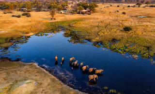 Cenário na África é muito parecido com a planíce pantaneira, mas no lugar dos bois, turista vê elefantes. (Foto: Divulgação)