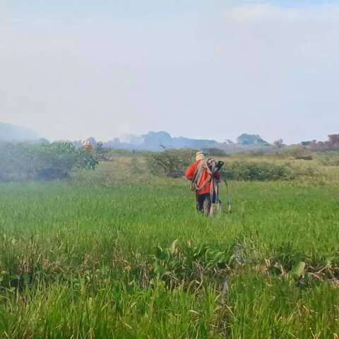 Com fogo controlado, &uacute;ltima turma de brigadistas deixa a Serra do Amolar