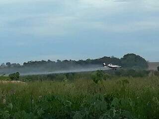Aviões de fazendeiros, instalados em área dos Guarani Kaiowá, em Guyraroka, lançam agrotóxicos sobre plantações (Foto: comunidade Guyraroká)