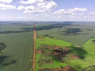 Imagem aérea da Terra Indígena Guyraroka, cercada por pela monocultura da soja (Foto: Olácio Komori/Arquivos do projeto 2022)